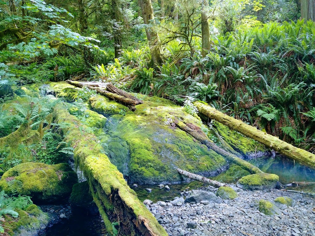 Matheson Lake Regional Park | Matheson Lake Park Rd, Victoria, BC V9C 4H9, Canada