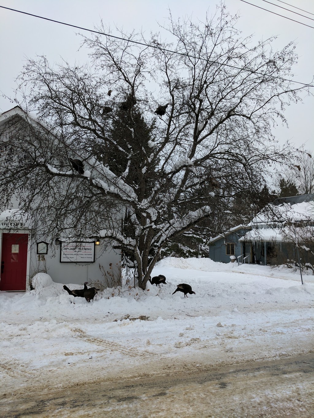The Minden Wine Store | 87 Bobcaygeon Rd, Minden, ON K0M 2K0, Canada | Phone: (705) 286-1642