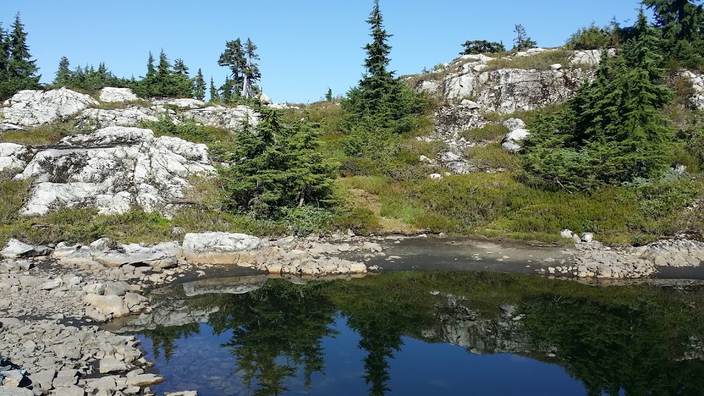 Goat Ridge Peak | Goat Ridge Rte, North Vancouver, BC V7K 1X8, Canada