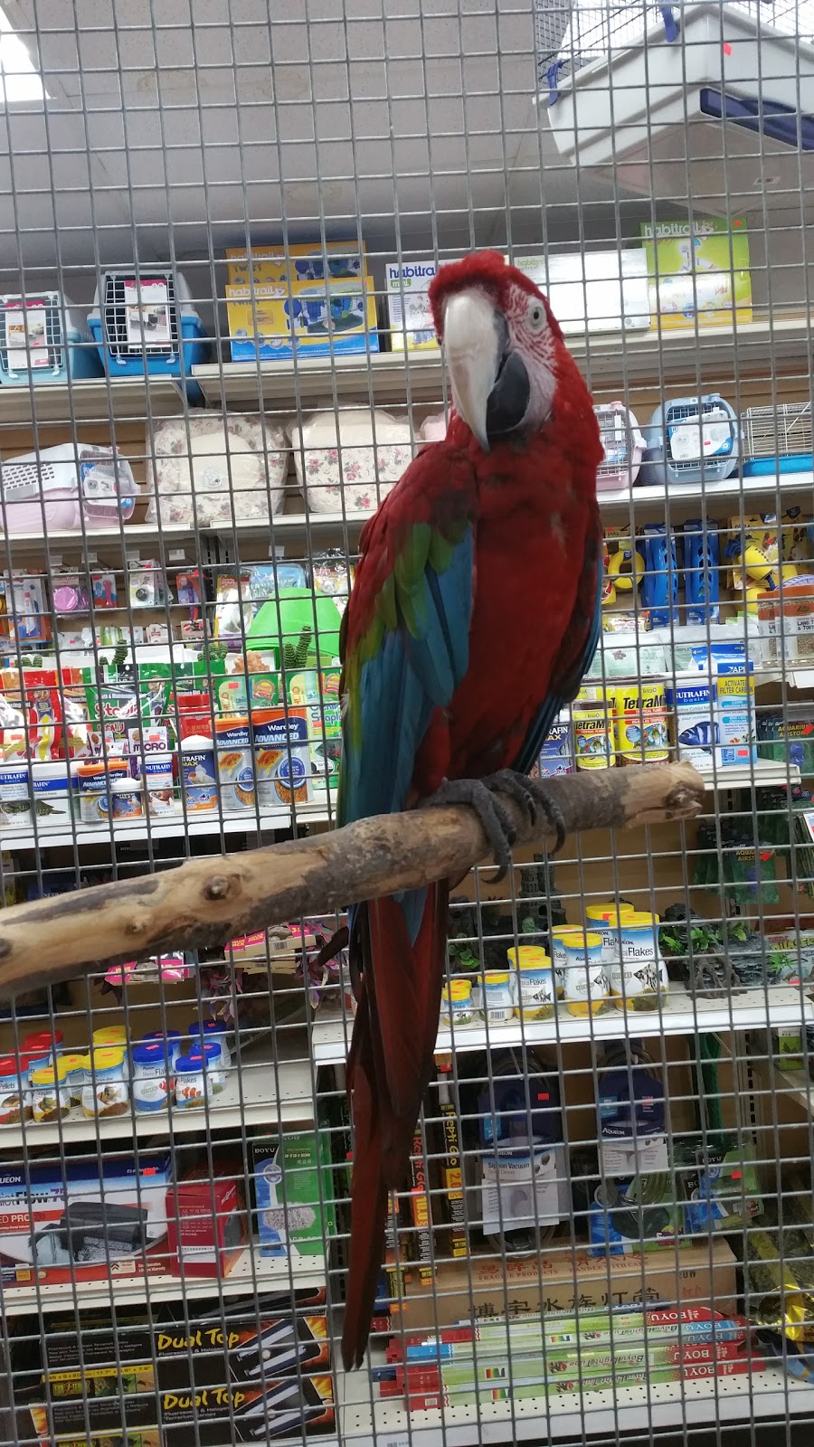 Central Pet Oshawa | 1100 Simcoe St N, Oshawa, ON L1G 4W6, Canada | Phone: (905) 240-7387