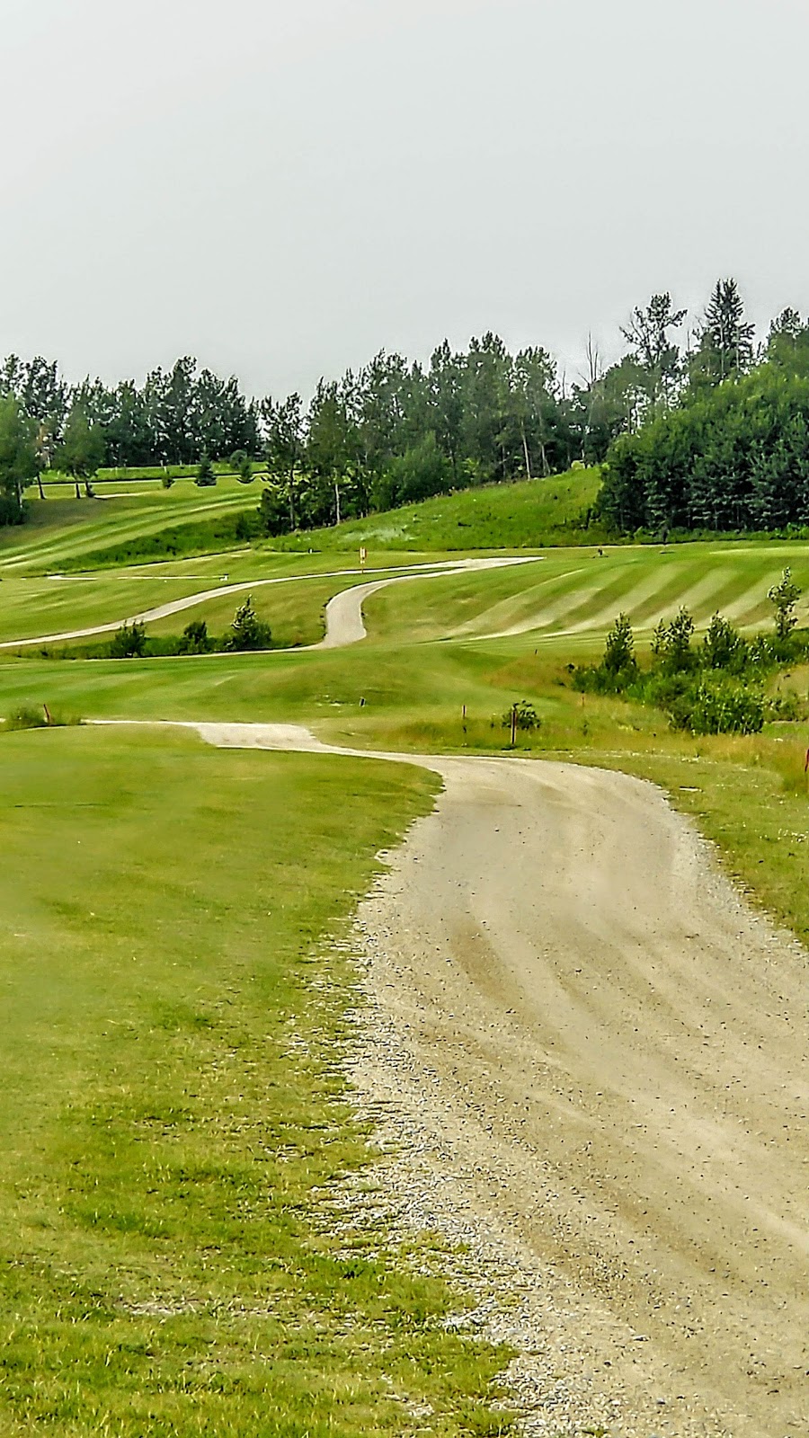Trail Creek Golf Club | 33055 Range Rd 31, Alberta ‎T4H ‎1P3, Canada | Phone: (403) 586-0561