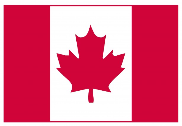 Super Visa Insurance Canada | 6094 145a St, Surrey, BC V3S 4R6, Canada | Phone: (778) 828-3610