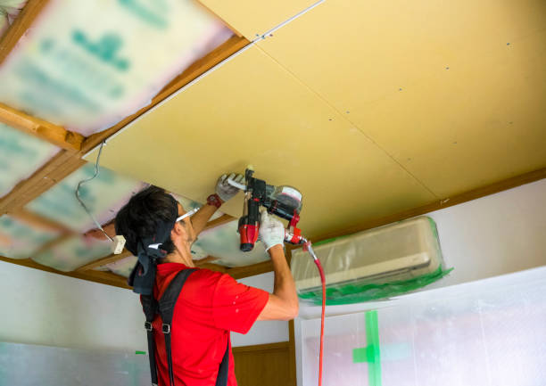 Beverly Handyman & Painter | 3337 B 118 Ave NW, Edmonton, AB T5W 4X1, Canada | Phone: (587) 410-7169