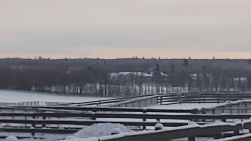 Ash Bren Equine Ltd. | 21069 Township Rd 524, Ardrossan, AB T8G 2C8, Canada | Phone: (780) 922-2033