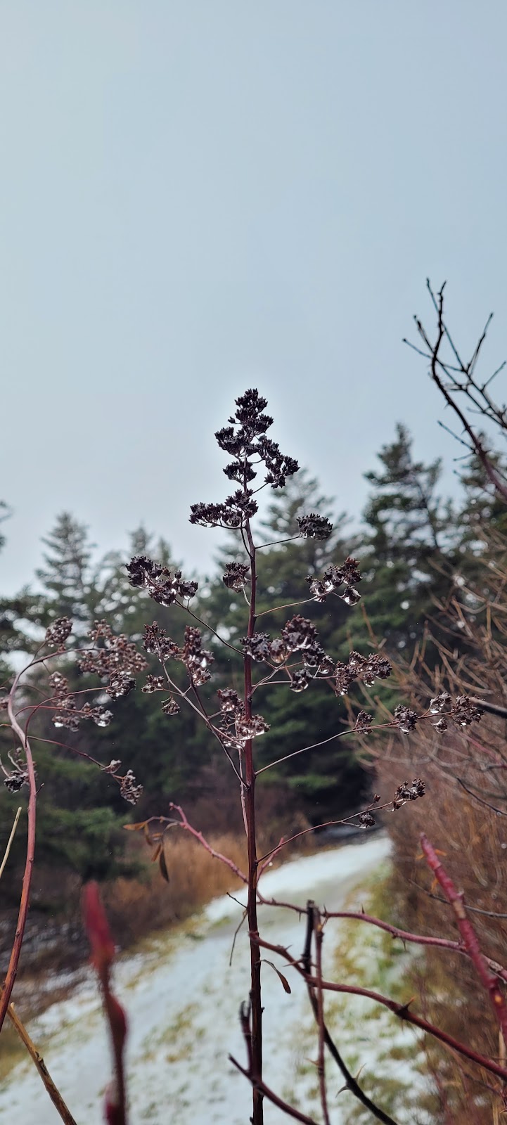 Сape Jourimain Nature Centre | Trans-Canada Hwy, Bayfield, NB E4M 3Z8, Canada | Phone: (506) 538-2220
