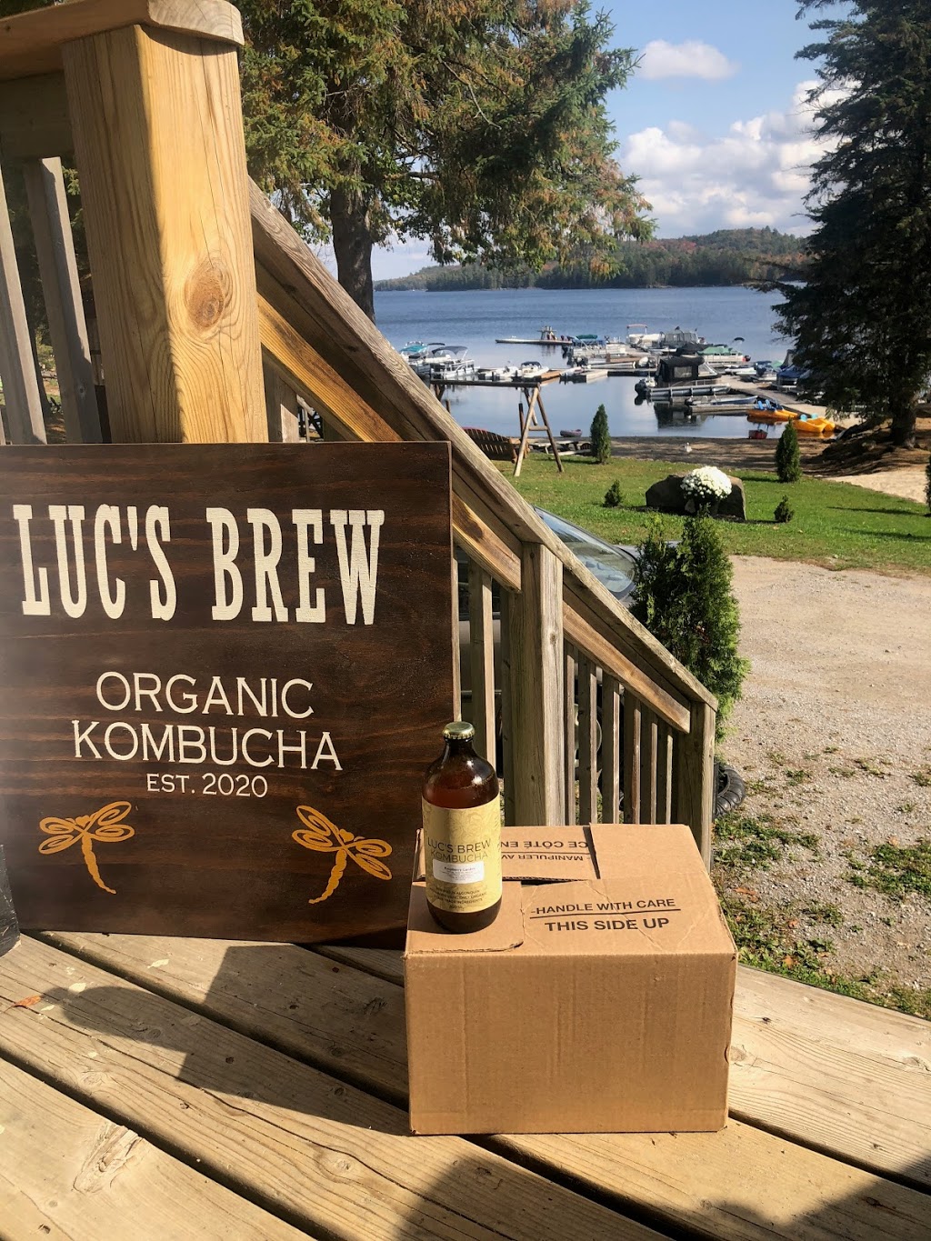 Lucs Brew Organic Kombucha | restaurant | 2049 Little Hawk Lake Rd, Algonquin Highlands, ON K0M 1J2, Canada | 7058542158 OR +1 705-854-2158
