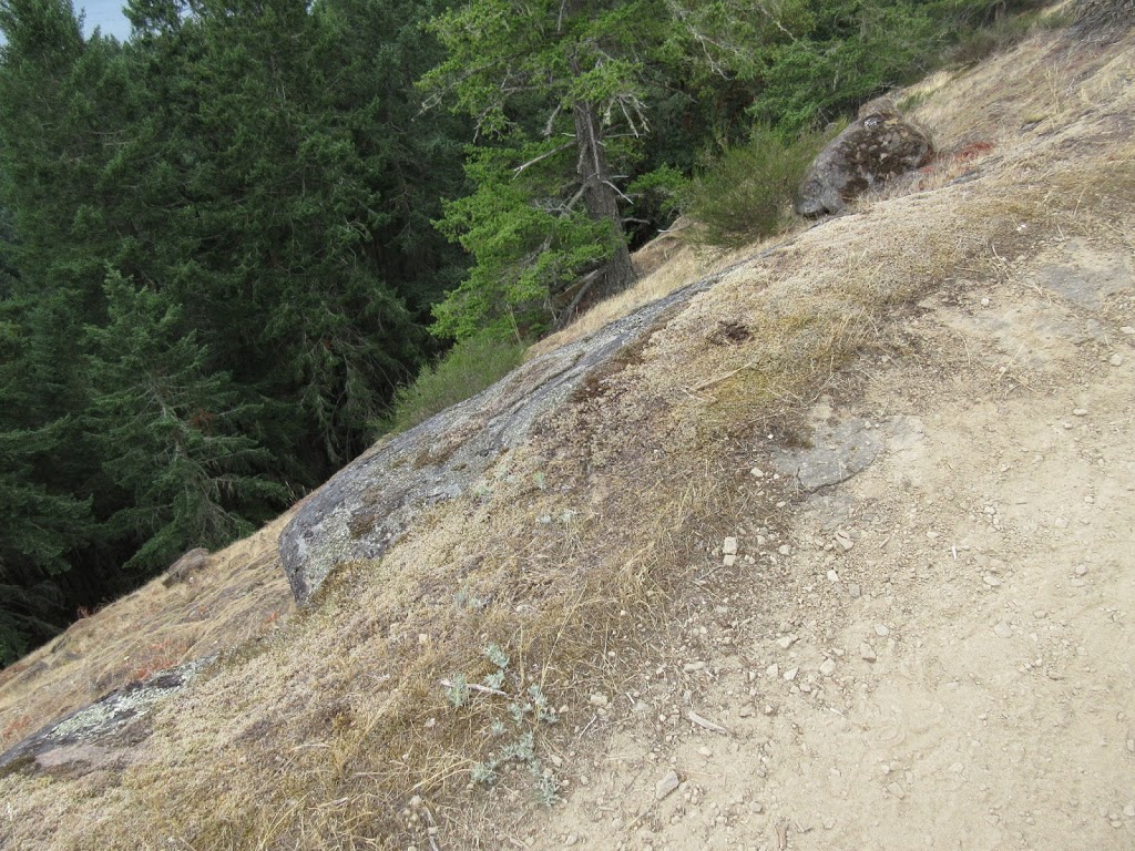 Bodega Ridge Provincial Park Trail | 1695 Cottage Way, Galiano Island, BC V0N 1P0, Canada