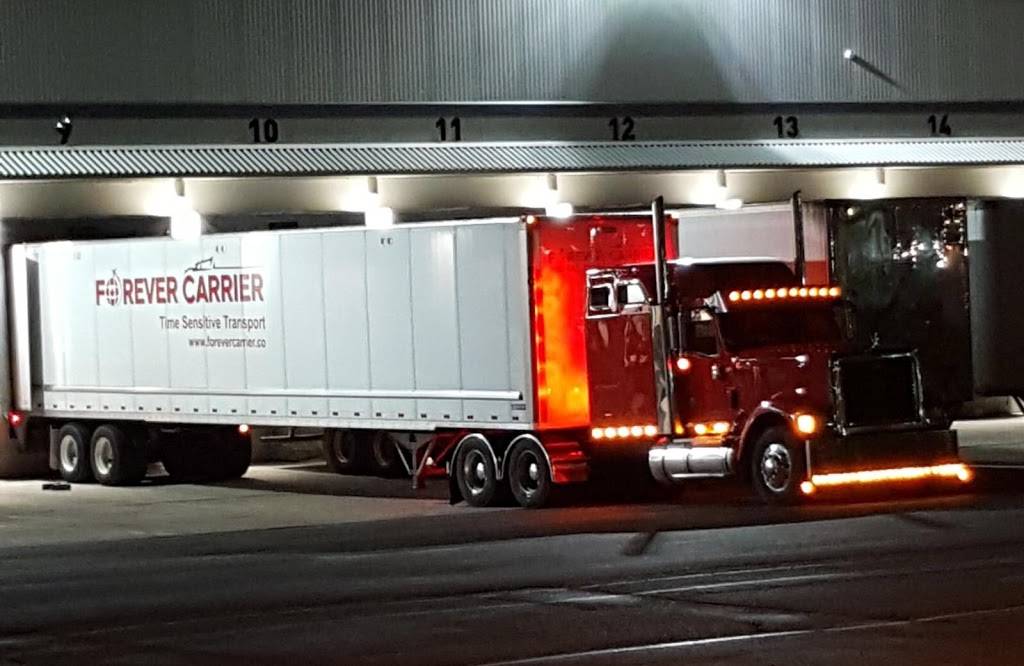 Forever Carrier | 5225 Orbitor Dr Unit-13, Mississauga, ON L4W 4Y8, Canada | Phone: (905) 455-1114