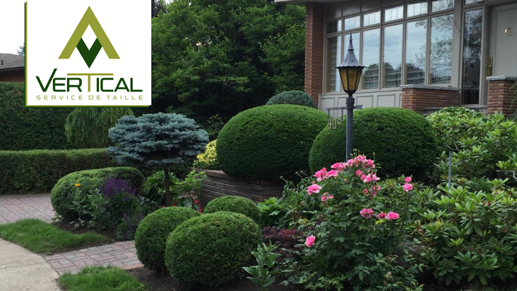 Vertical Service de Taille | 50 Rue de Muy, Boucherville, QC J4B 4T2, Canada | Phone: (514) 944-0326