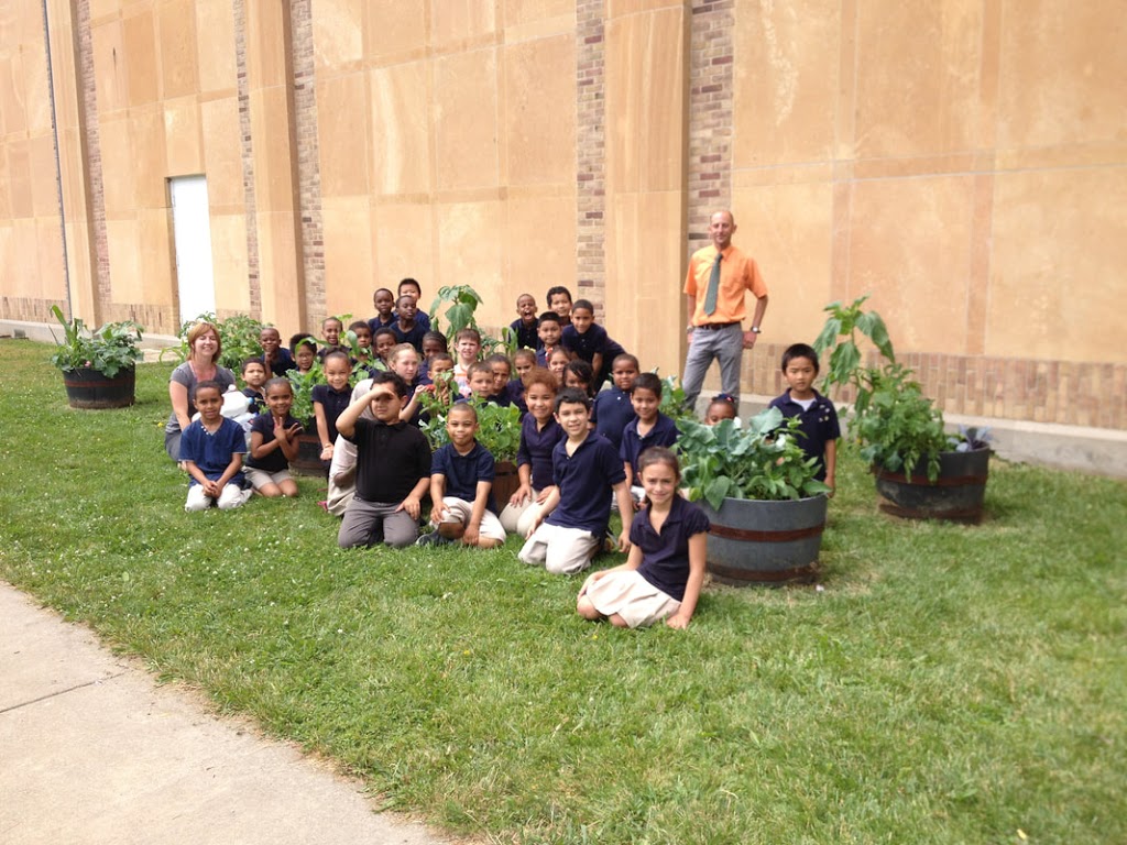 Frank Sedita Garden - PS 30 | 21 Lowell Pl, Buffalo, NY 14213, USA | Phone: (716) 783-9653