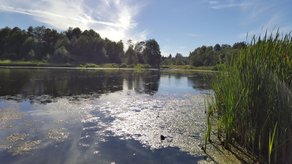 Surrey Lake Park | 7500 152 St, Surrey, BC V3S 3R1, Canada | Phone: (604) 501-5050