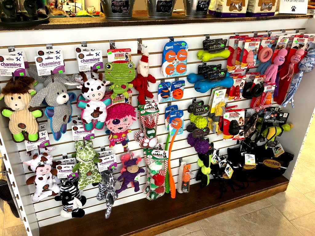 Skinkles Pet Supplies & More | 400 W Front St Building 10, Stirling, ON K0K 3E0, Canada | Phone: (613) 395-0899