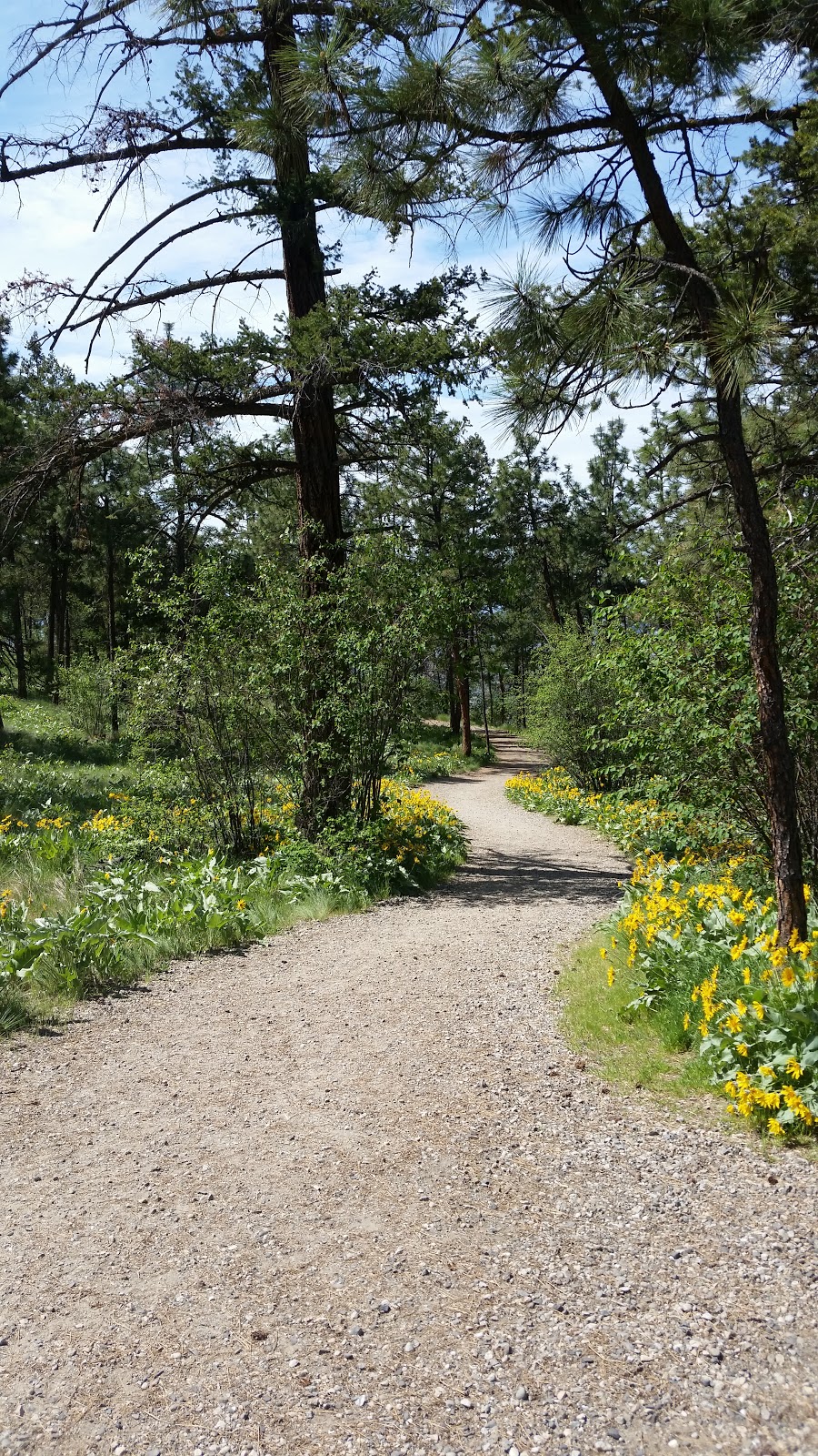 Dilworth Mountain Park | Chilcotin Crescent, Kelowna, BC V1Y 7V3, Canada