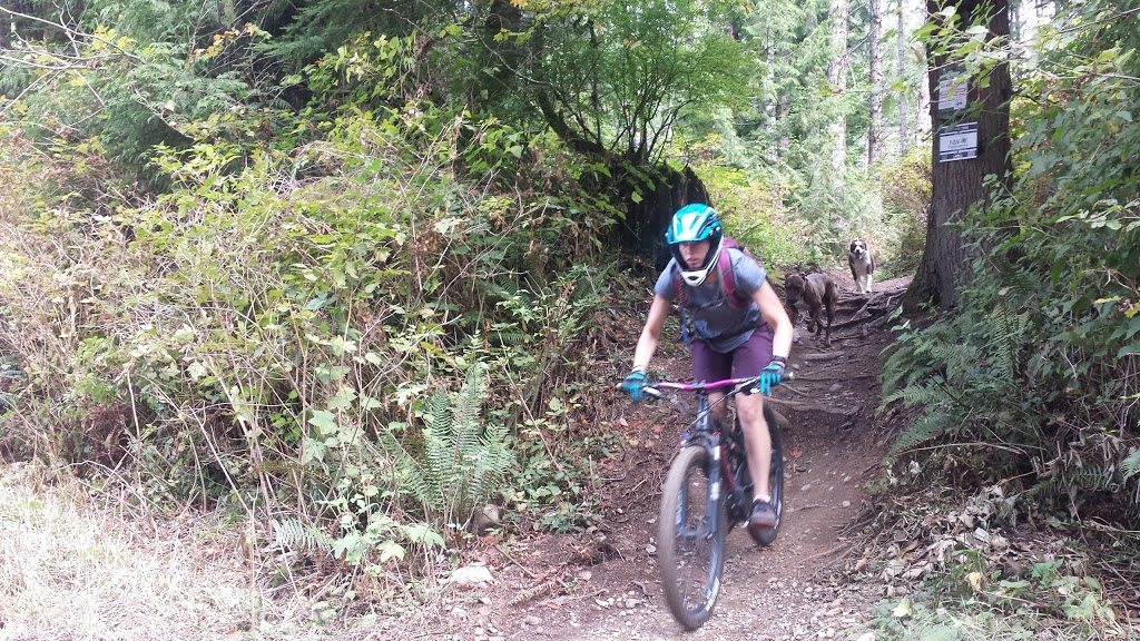 Galbraith Mountain | Tower Rd, Bellingham, WA 98229, USA | Phone: (360) 778-7000
