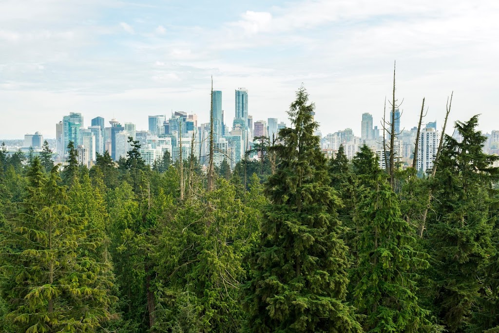 Peak Trees | 6566 Pinehurst Dr, Vancouver, BC V5X 4P1, Canada | Phone: (778) 318-9442