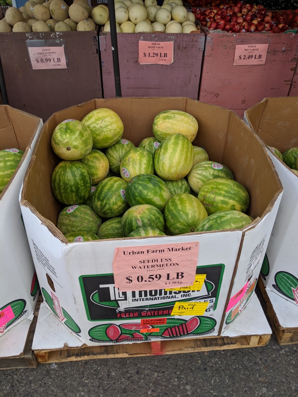 Urban Farm Market | 11900 Westminster Hwy, Richmond, BC V6X 1B3, Canada | Phone: (604) 279-8845