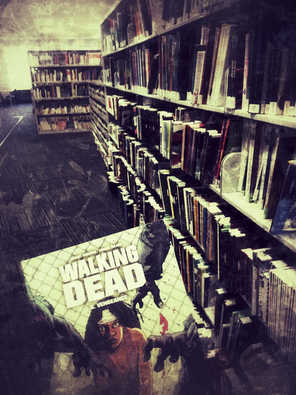 Boisbriand Library | 901 Boulevard de la Grande-Allée, Boisbriand, QC J7G 1W6, Canada | Phone: (450) 435-7466