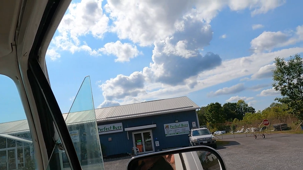 Perfect Buzz | 283B ON-49 Tyendinaga Mohawk Territory, Hastings County, ON K0K 1X0, Canada | Phone: (613) 243-9094