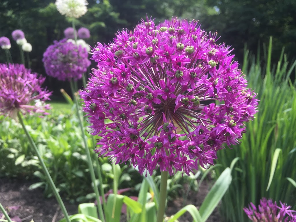 Outdoor Design | 20 Maplecrest Rd, Midhurst, ON L9X 0P8, Canada | Phone: (705) 722-8393