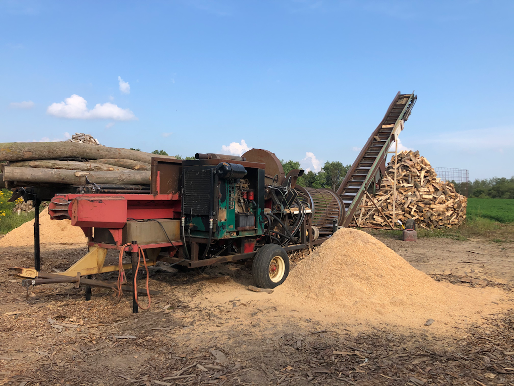 Stormin Normans Firewood | 2892 Hackbart Rd, St. Clements, ON N0B 2M0, Canada | Phone: (519) 504-5626