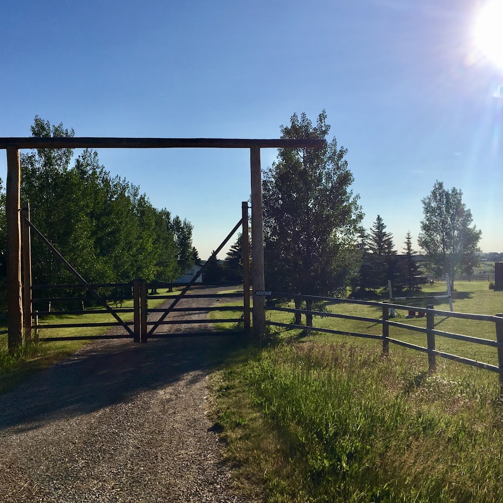 Riley Ridge Stables | 280058 Range Road 23, Site 1 Box 59, Madden, AB T4B 2A3, Canada | Phone: (403) 519-1907