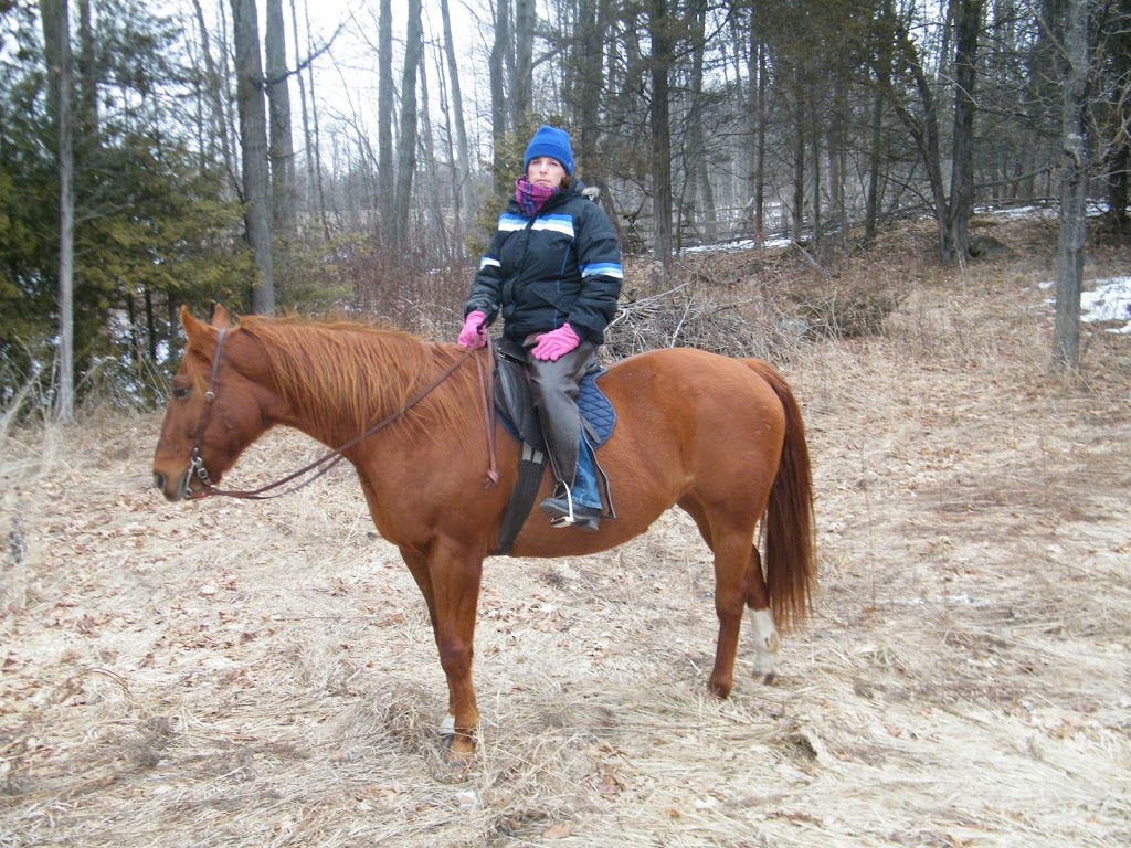 Deltawood Farm | 1648 County Rd 42, Delta, ON K0E 1G0, Canada | Phone: (613) 928-2871