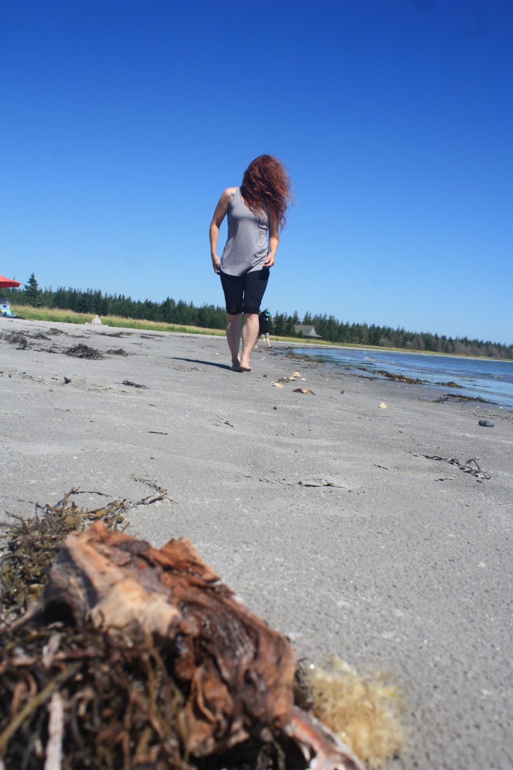 Louis Head Beach Campground | 1668 W Sable Rd, Sable River, NS B0T 1V0, Canada | Phone: (902) 656-3129