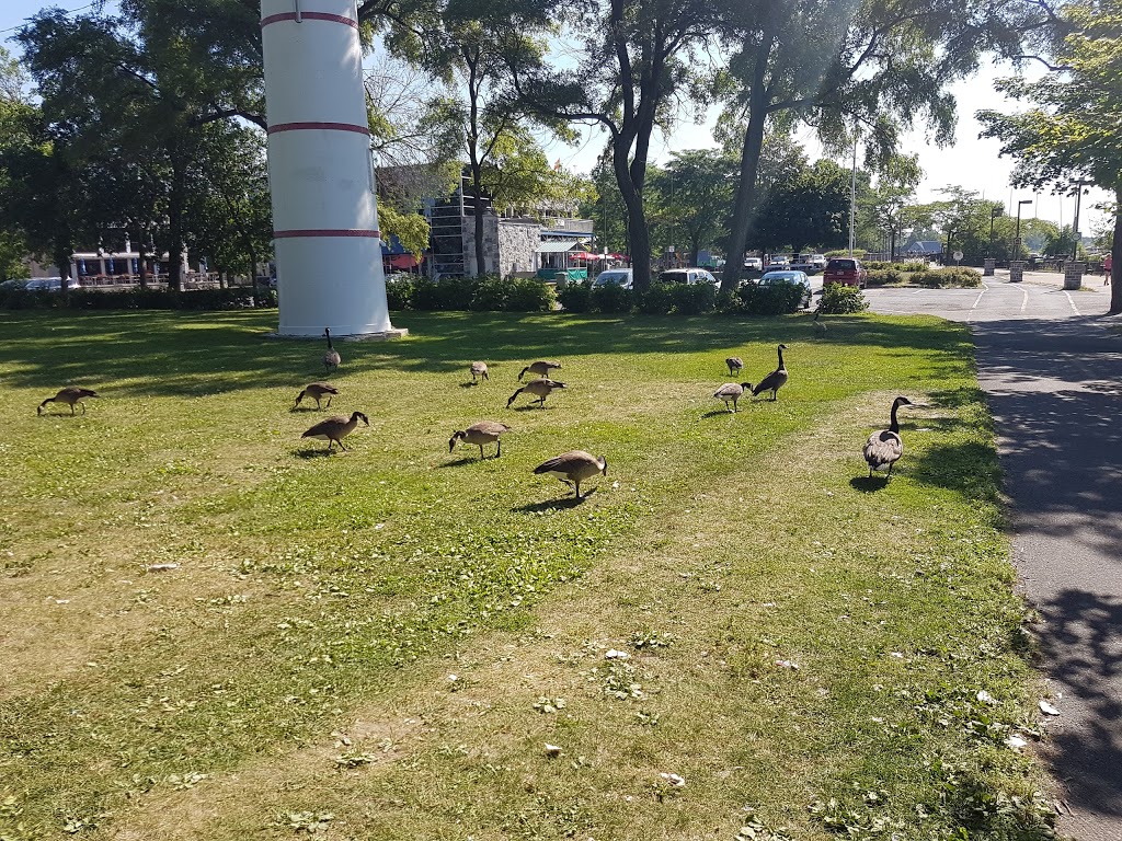 Parc Saint-Louis | Ferry Ramp, Montreal, QC, Canada