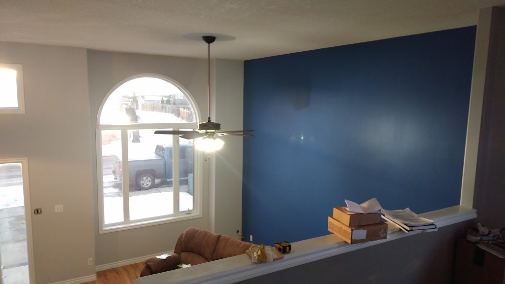 Platinum Brush Painting | 256 Couleesprings Terrace S, Lethbridge, AB T1K 5P2, Canada | Phone: (403) 715-8193