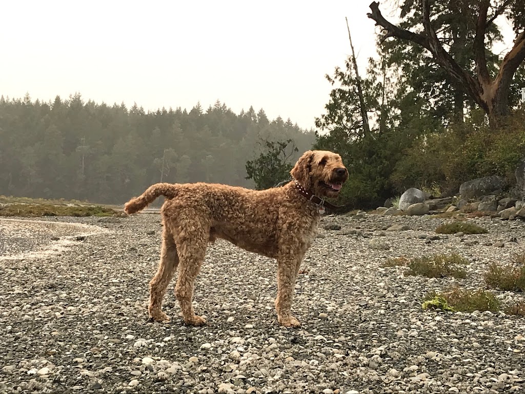 Hollyberry Hollow | Box 20-1 Thetis island, BC V0R 1K1, Canada | Phone: (250) 588-3369