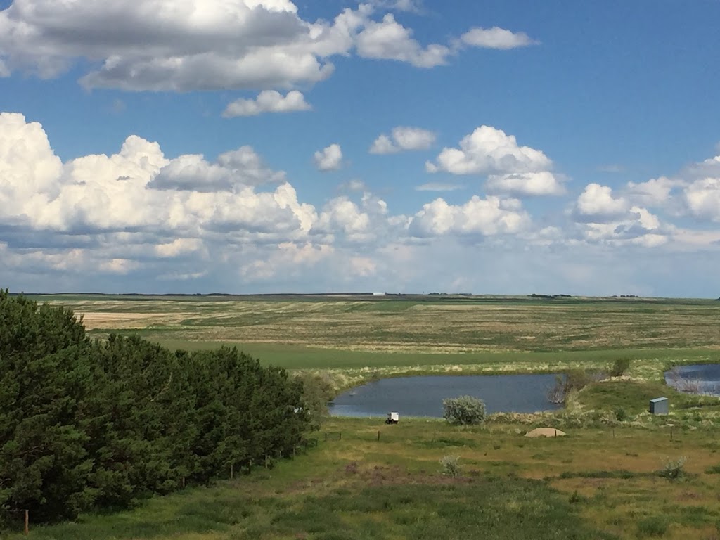 Reigning Paints Riding Arena | Sutton No. 103, SK S0H 2Y0, Canada | Phone: (306) 642-4062