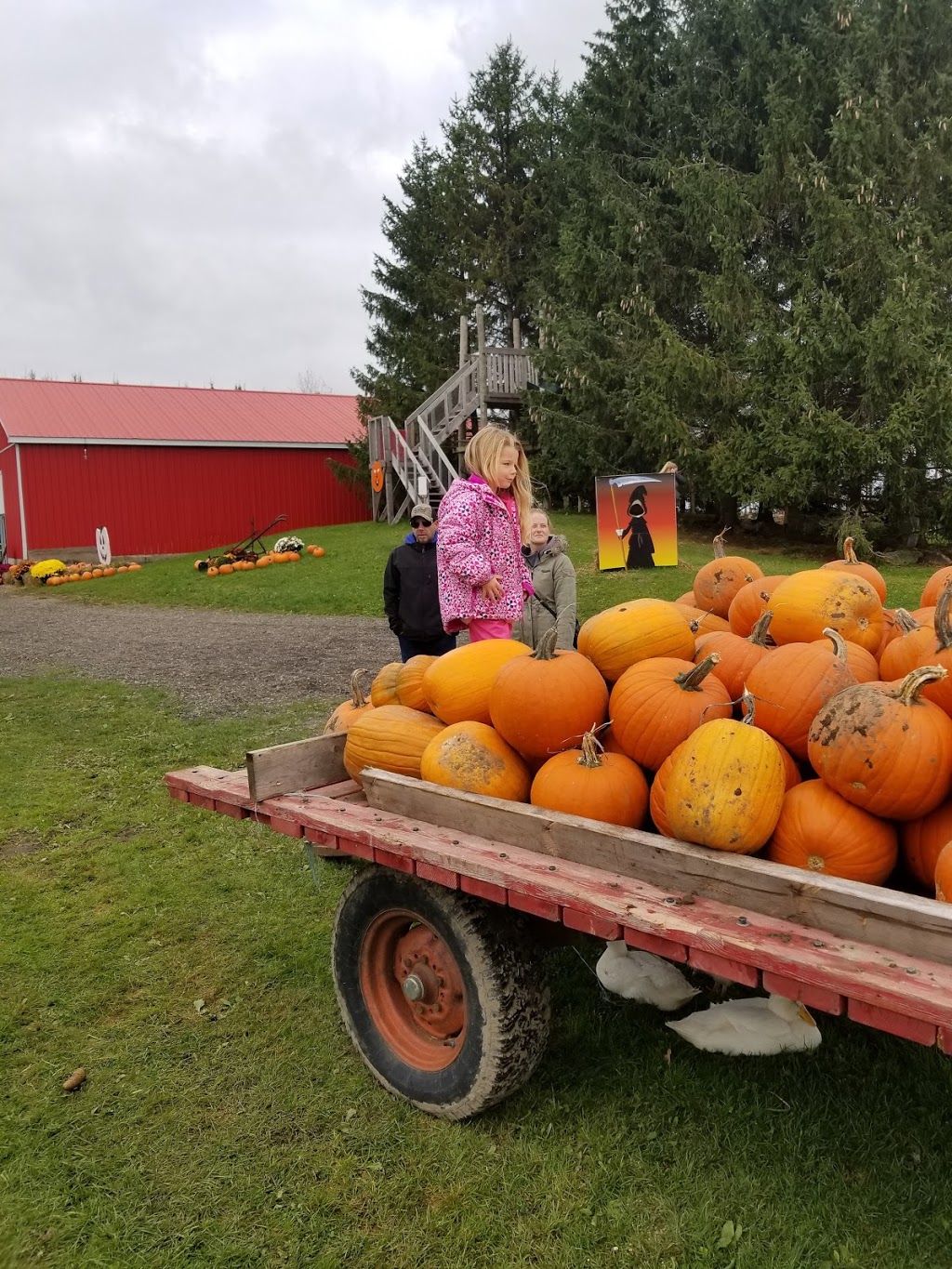 Sweet Peas Pumpkin fest and Mudbog | RR# 2 # 2Y9, 333329 7 Line, Laurel, ON L0N 1L0, Canada | Phone: (519) 938-7098