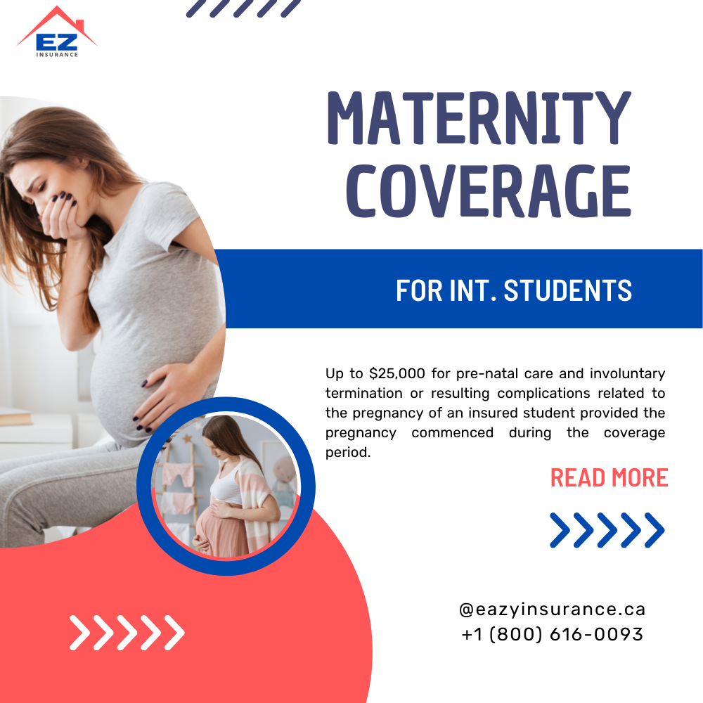 eazyinsurance inc. | Affordable Travel Insurance in Canada | 3465 Platinum Dr #238, Mississauga, ON L5M 2S1, Canada | Phone: (800) 616-0093