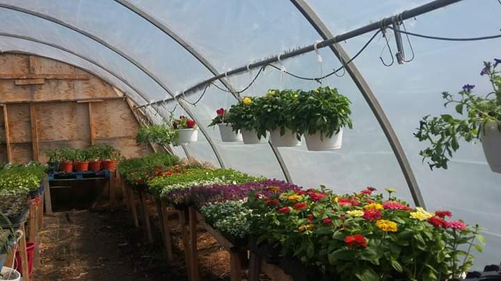 Hervieux Farms | Sables-Spanish Rivers, ON P0P 1P0, Canada | Phone: (705) 665-8060