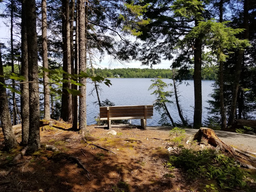 Second Lake Sackville Trailhead | 82 Phoenix Crescent, Lower Sackville, NS B4C 2C5, Canada