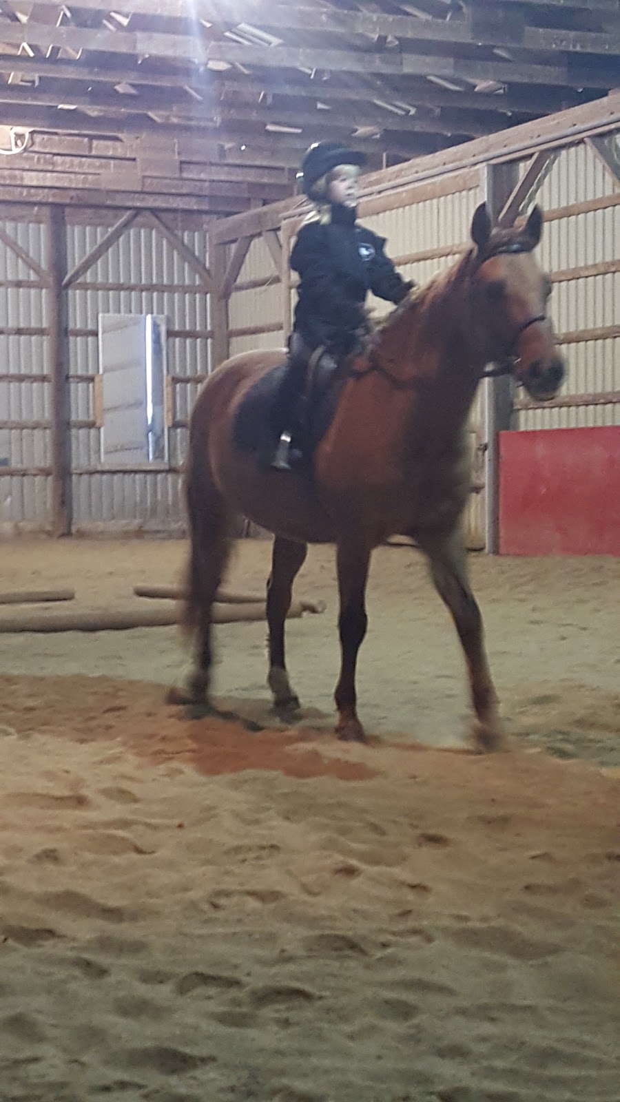 Cedarstone Farm | Concession Rd 2 WGR, West Grey, ON N0G, Canada | Phone: (519) 369-5971