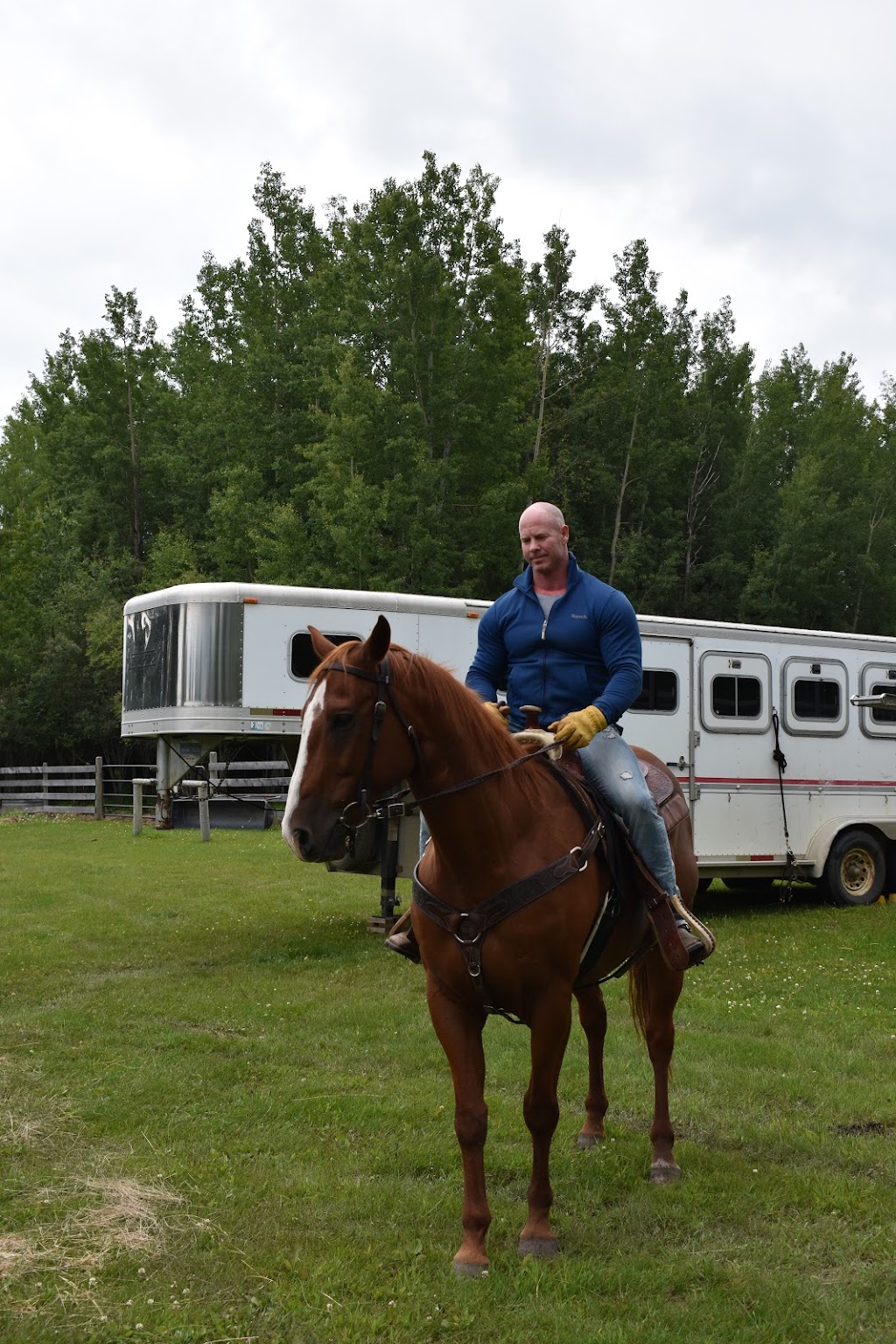 Bearpaw Ranch and BearSpaw Holistic Market | 49222 Range Rd 92, Cynthia, AB T0E 0K0, Canada | Phone: (780) 542-3259
