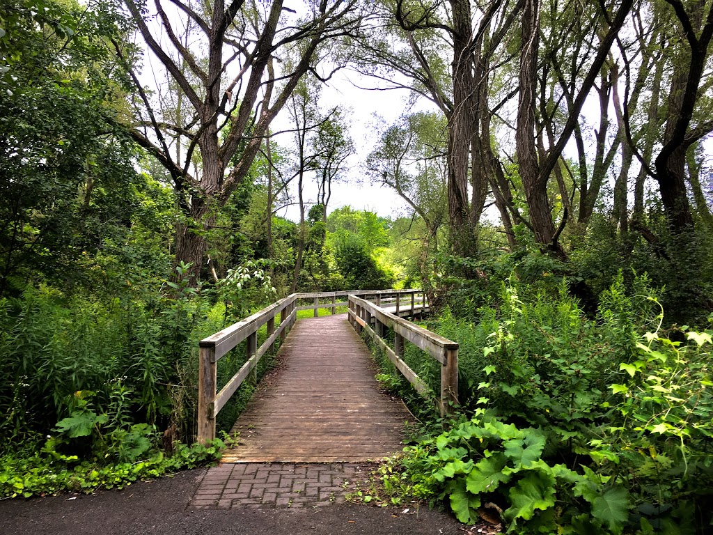 Saigeon Trail | Richmond Hill, ON L4E 4C2, Canada | Phone: (905) 771-8830