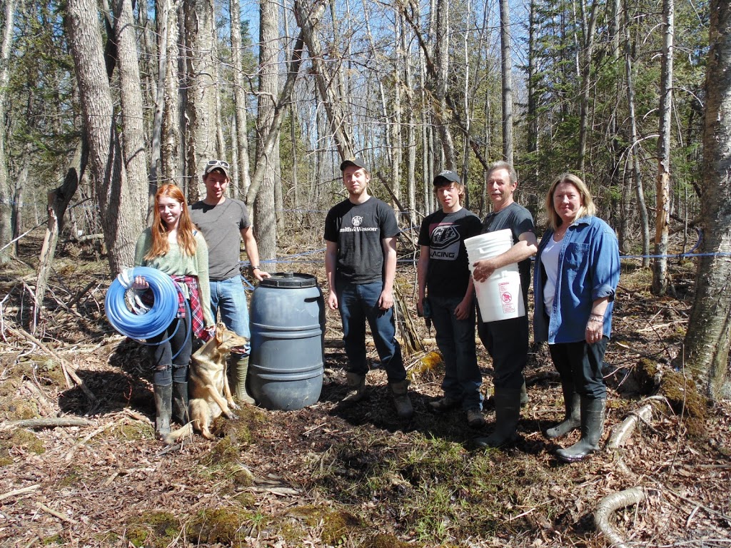 Wagram Springs Farm | 8823 Concession 11 RR1, Moorefield, ON N0G 2K0, Canada | Phone: (519) 323-2300