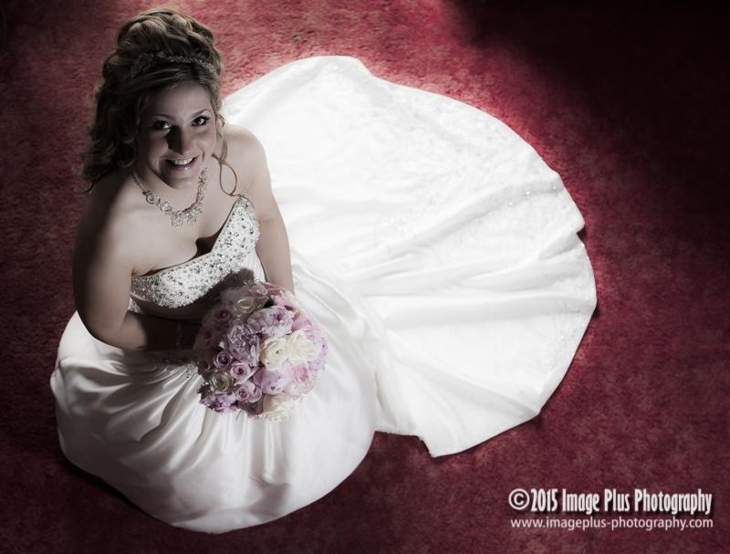 Image Plus Photography | 285 Colonial Rd, Belleville, ON K8R 1C3, Canada | Phone: (613) 827-5987