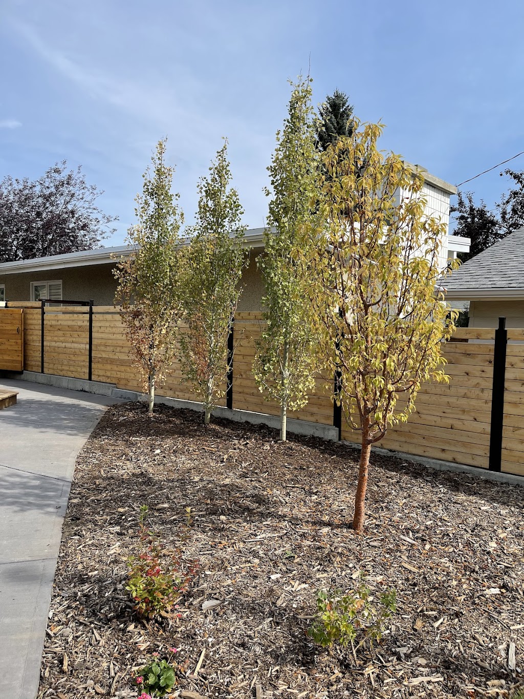 Vollmin Trees | 261043 Range Rd 24, Calgary, AB T3R 1E3, Canada | Phone: (403) 860-6957