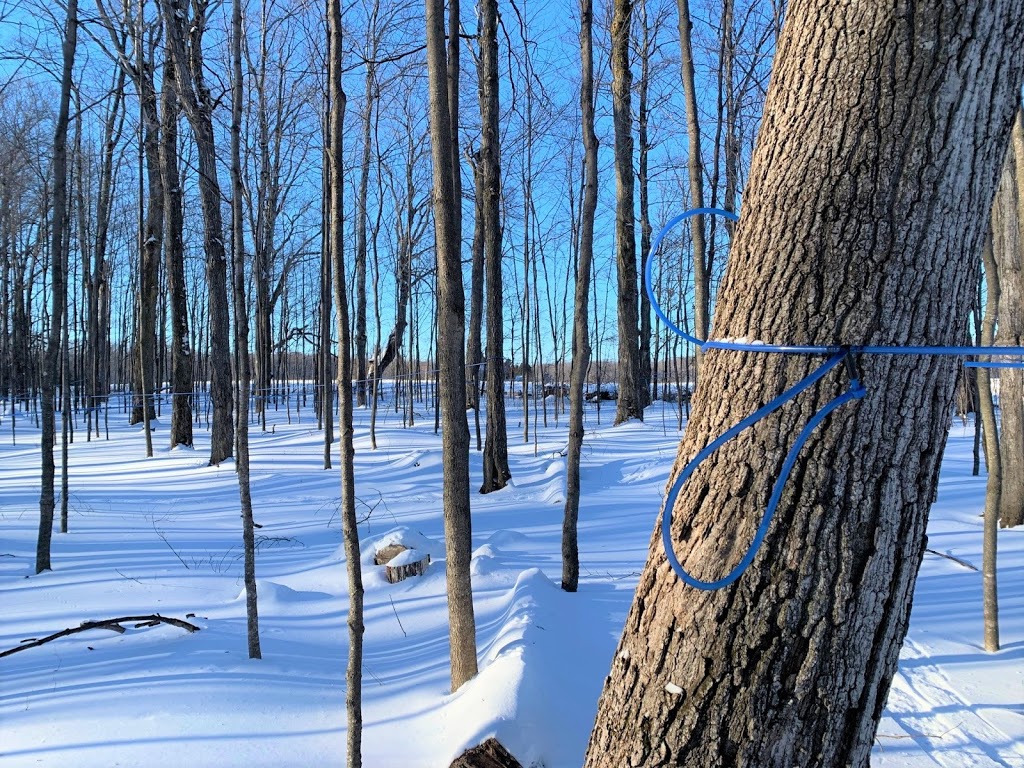Ressources Forestières Biotiques Inc | 965 Route Principale, Sainte-Mélanie, QC J0K 3A0, Canada | Phone: (450) 960-2130