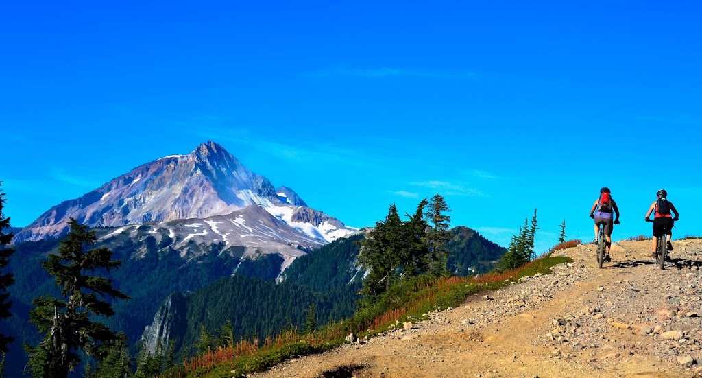 Steve De Wolf | 1900 Garibaldi Way #3, Garibaldi Highlands, BC V0N 1T0, Canada | Phone: (604) 389-9653