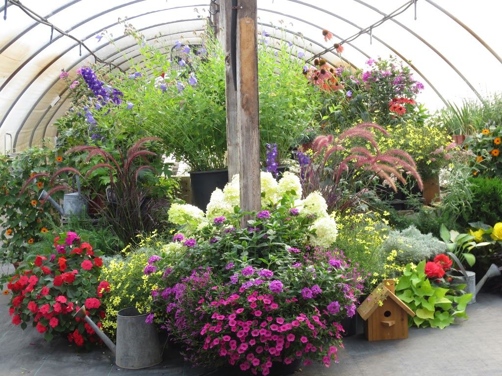 Fern Forest Gardens | 4012 Cambrian Rd, Washago, ON L0K 2B0, Canada | Phone: (705) 689-8230