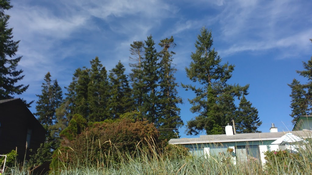 eagleye cottage | 3989 S Island Hwy, Campbell River, BC V9H 1L2, Canada | Phone: (250) 923-4589