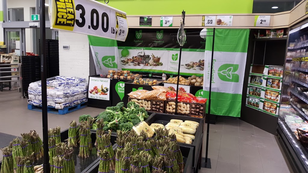 FreshCo | 75 Dundas St N, Cambridge, ON N1R 6G5, Canada | Phone: (519) 620-9022