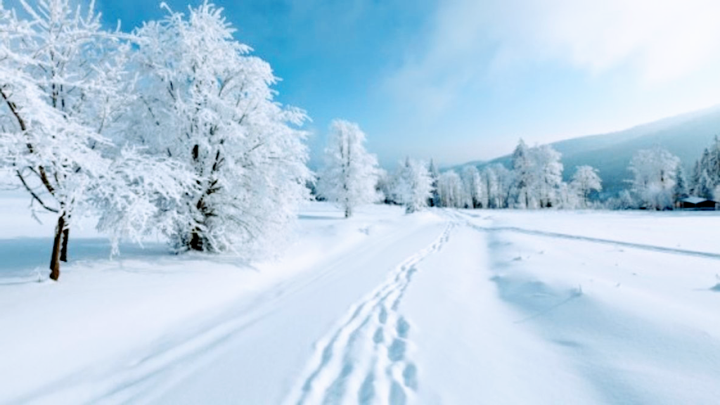 RICHMOND SNOW REMOVAL SERVICES | 9000 douglas st, Richmond, BC V6X 1V3, Canada | Phone: (778) 788-2386