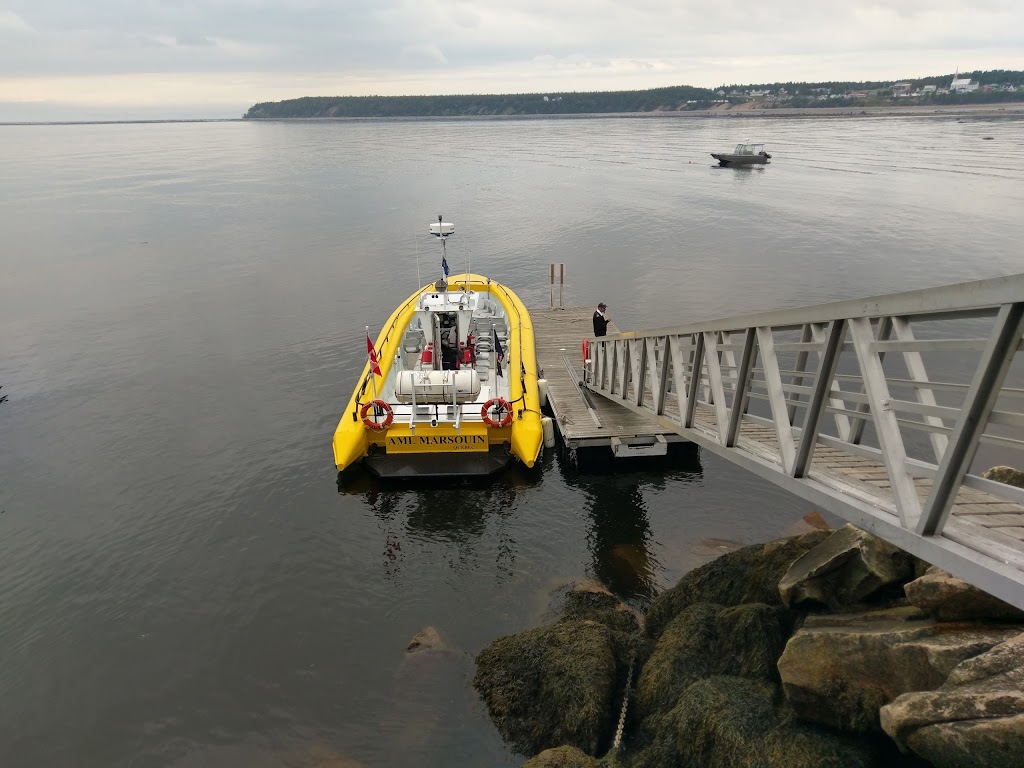 Société des traversiers | 98 Rue du Bateau Passeur, Tadoussac, QC G0T 2A0, Canada | Phone: (418) 235-4395 ext. 3