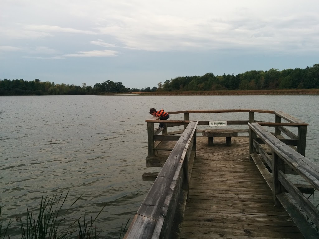 Chippawa Creek Conservation Area | 74646 Regional Rd 45, Wellandport, ON L0R 2J0, Canada | Phone: (905) 386-6387