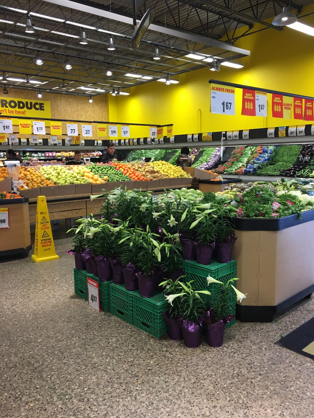 spataro-s-no-frills-8990-chinguacousy-rd-brampton-on-l6y-5x6-canada